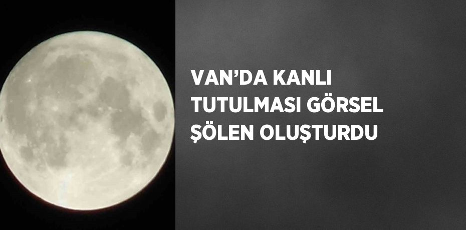 VAN’DA KANLI TUTULMASI GÖRSEL ŞÖLEN OLUŞTURDU