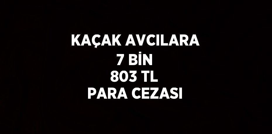 KAÇAK AVCILARA 7 BİN 803 TL PARA CEZASI