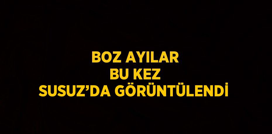 BOZ AYILAR BU KEZ SUSUZ’DA GÖRÜNTÜLENDİ