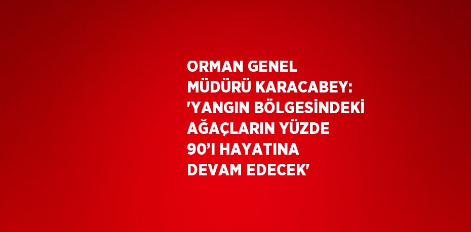 ORMAN GENEL MÜDÜRÜ KARACABEY: 'YANGIN BÖLGESİNDEKİ AĞAÇLARIN YÜZDE 90’I HAYATINA DEVAM EDECEK'