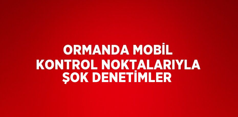 ORMANDA MOBİL KONTROL NOKTALARIYLA ŞOK DENETİMLER