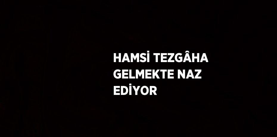 HAMSİ TEZGÂHA GELMEKTE NAZ EDİYOR