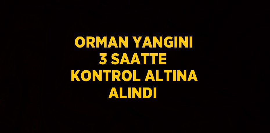 ORMAN YANGINI 3 SAATTE KONTROL ALTINA ALINDI