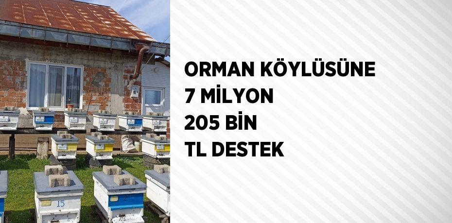 ORMAN KÖYLÜSÜNE 7 MİLYON 205 BİN TL DESTEK