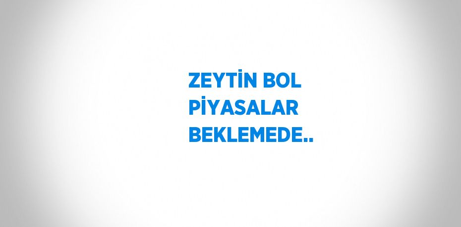 ZEYTİN BOL PİYASALAR BEKLEMEDE..