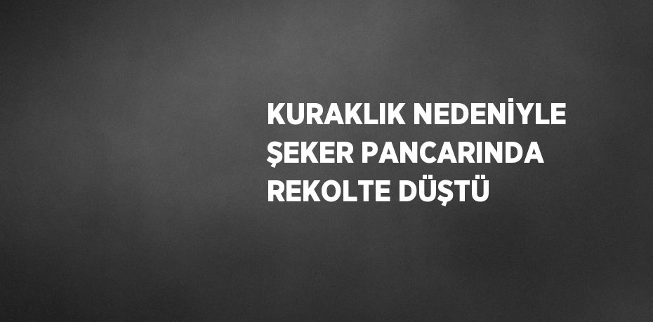 KURAKLIK NEDENİYLE ŞEKER PANCARINDA REKOLTE DÜŞTÜ