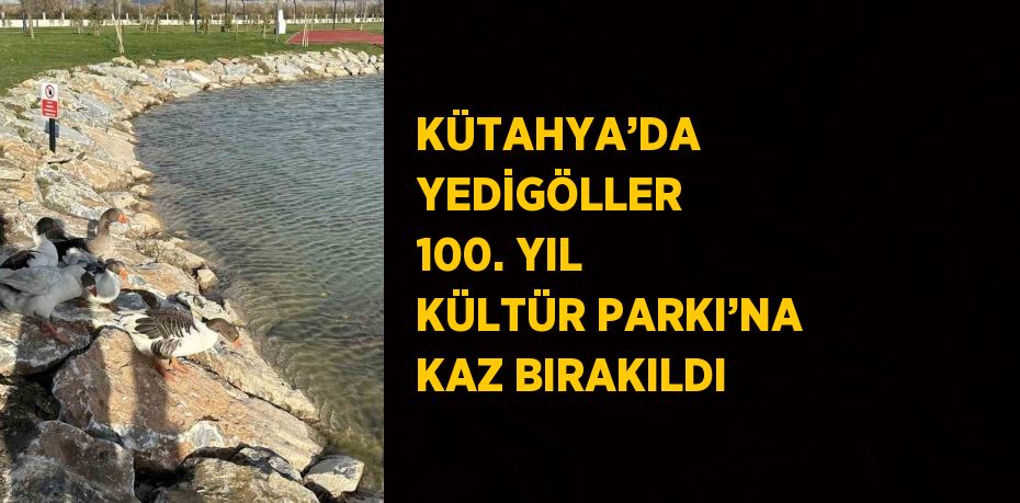 KÜTAHYA’DA YEDİGÖLLER 100. YIL KÜLTÜR PARKI’NA KAZ BIRAKILDI