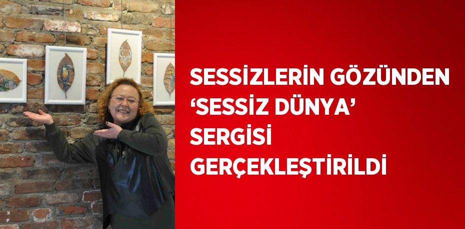 SESSİZLERİN GÖZÜNDEN ‘SESSİZ DÜNYA’ SERGİSİ GERÇEKLEŞTİRİLDİ