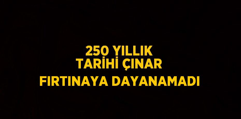 250 YILLIK TARİHİ ÇINAR FIRTINAYA DAYANAMADI