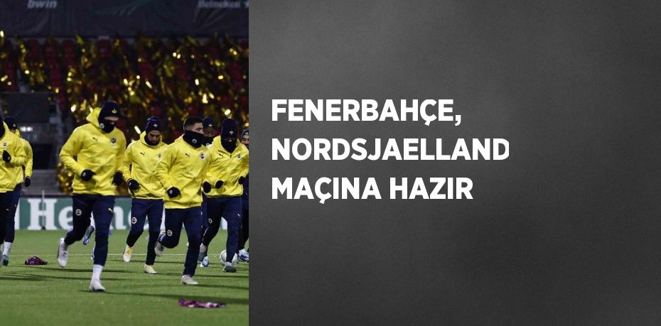 FENERBAHÇE, NORDSJAELLAND MAÇINA HAZIR