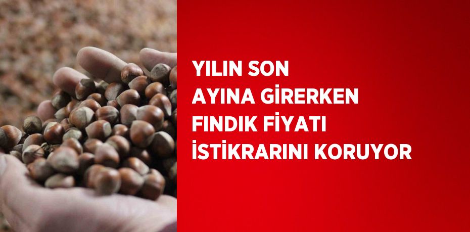 YILIN SON AYINA GİRERKEN FINDIK FİYATI İSTİKRARINI KORUYOR