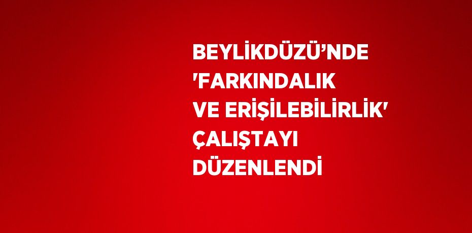 BEYLİKDÜZÜ’NDE 'FARKINDALIK VE ERİŞİLEBİLİRLİK' ÇALIŞTAYI DÜZENLENDİ