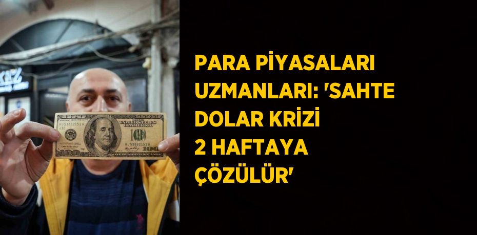 PARA PİYASALARI UZMANLARI: 'SAHTE DOLAR KRİZİ 2 HAFTAYA ÇÖZÜLÜR'