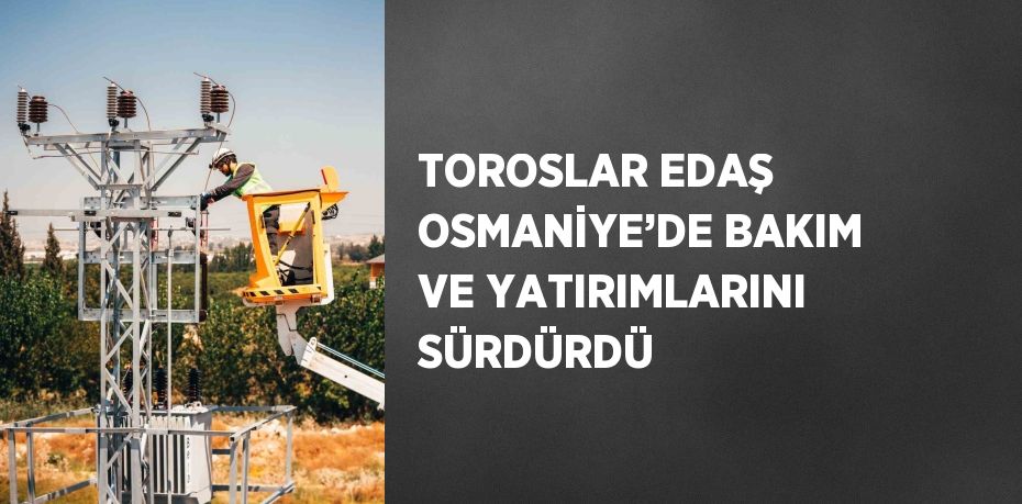 TOROSLAR EDAŞ OSMANİYE’DE BAKIM VE YATIRIMLARINI SÜRDÜRDÜ