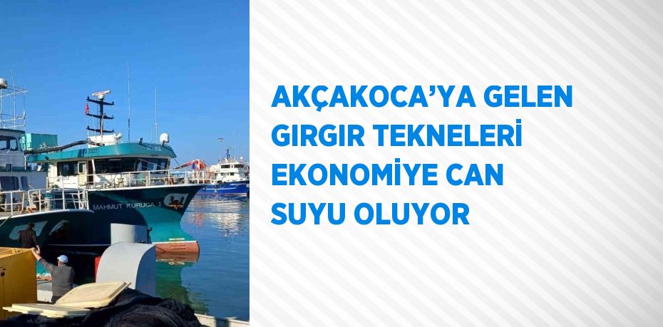 AKÇAKOCA’YA GELEN GIRGIR TEKNELERİ EKONOMİYE CAN SUYU OLUYOR