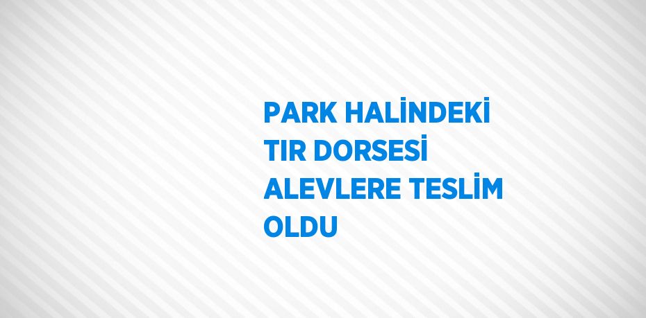 PARK HALİNDEKİ TIR DORSESİ ALEVLERE TESLİM OLDU