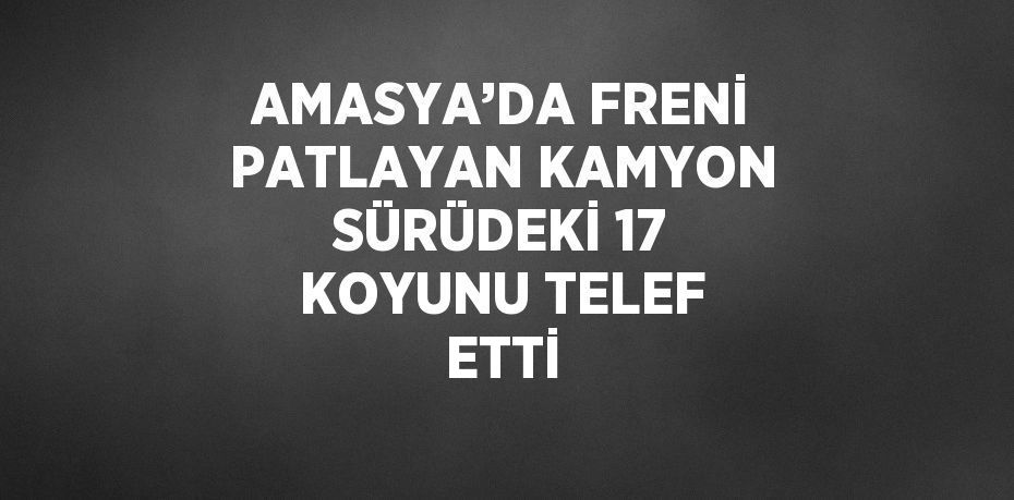 AMASYA’DA FRENİ PATLAYAN KAMYON SÜRÜDEKİ 17 KOYUNU TELEF ETTİ