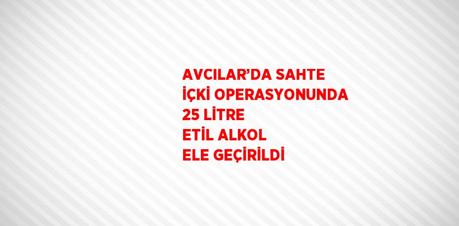 AVCILAR’DA SAHTE İÇKİ OPERASYONUNDA 25 LİTRE ETİL ALKOL ELE GEÇİRİLDİ