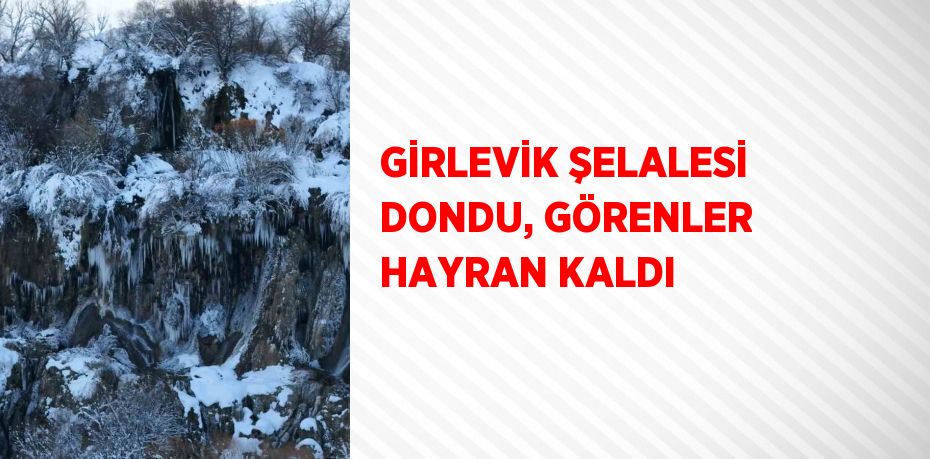 GİRLEVİK ŞELALESİ DONDU, GÖRENLER HAYRAN KALDI