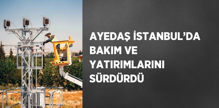 AYEDAŞ İSTANBUL’DA BAKIM VE YATIRIMLARINI SÜRDÜRDÜ