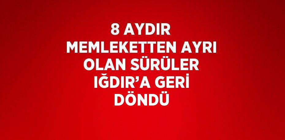 8 AYDIR MEMLEKETTEN AYRI OLAN SÜRÜLER IĞDIR’A GERİ DÖNDÜ