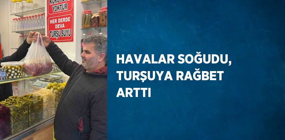 HAVALAR SOĞUDU, TURŞUYA RAĞBET ARTTI