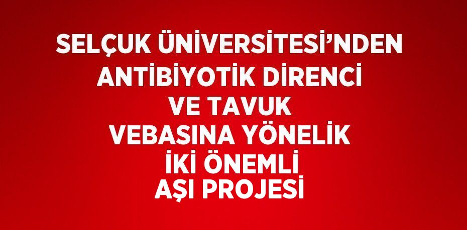 SELÇUK ÜNİVERSİTESİ’NDEN ANTİBİYOTİK DİRENCİ VE TAVUK VEBASINA YÖNELİK İKİ ÖNEMLİ AŞI PROJESİ