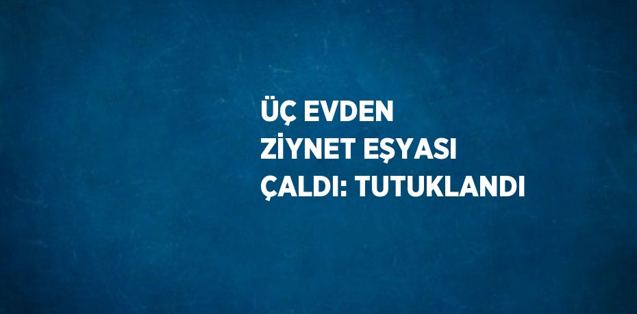 ÜÇ EVDEN ZİYNET EŞYASI ÇALDI: TUTUKLANDI