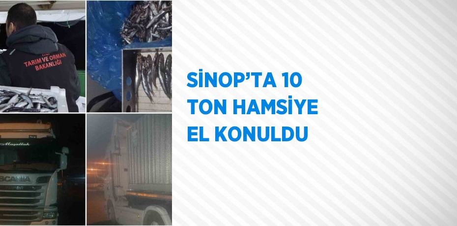 SİNOP’TA 10 TON HAMSİYE EL KONULDU