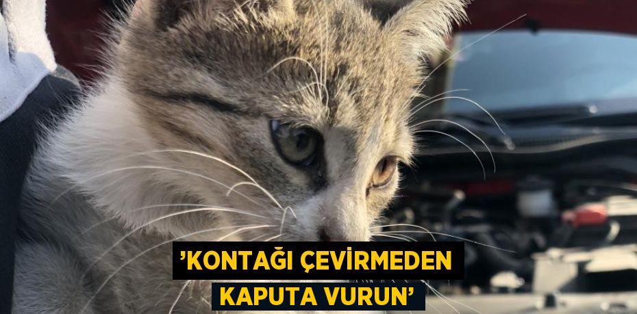 ’KONTAĞI ÇEVİRMEDEN KAPUTA VURUN’