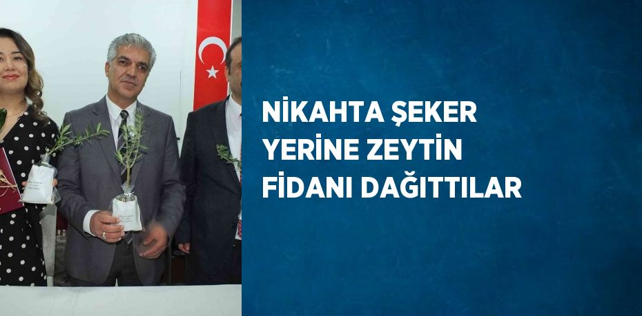 NİKAHTA ŞEKER YERİNE ZEYTİN FİDANI DAĞITTILAR