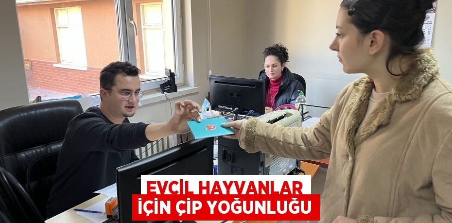 Evcil hayvanlar için çip yoğunluğu