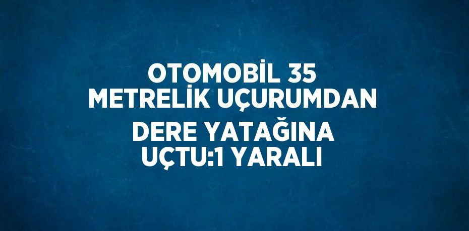 OTOMOBİL 35 METRELİK UÇURUMDAN DERE YATAĞINA UÇTU:1 YARALI