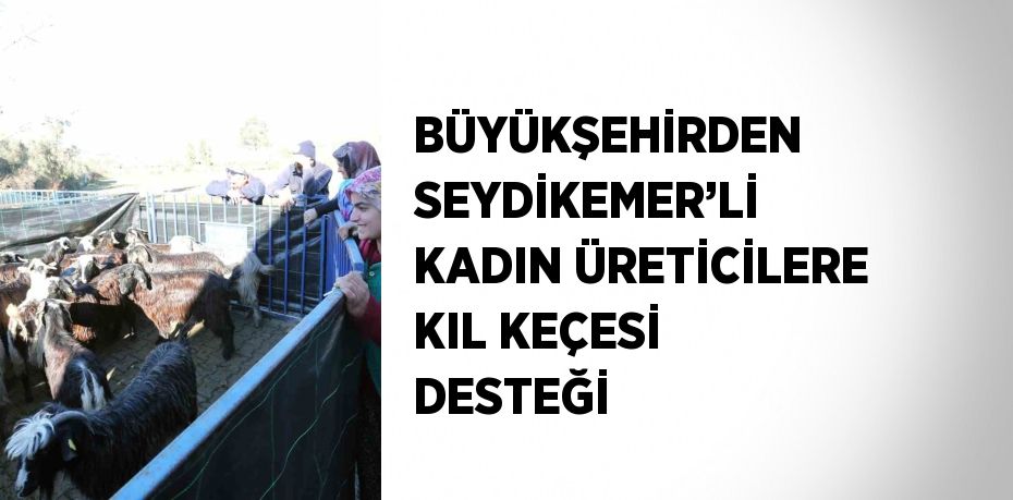 BÜYÜKŞEHİRDEN SEYDİKEMER’Lİ KADIN ÜRETİCİLERE KIL KEÇESİ DESTEĞİ