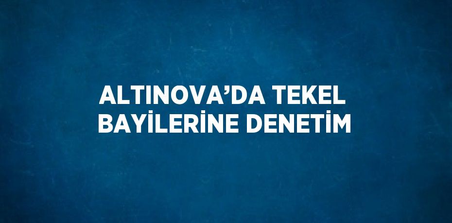 ALTINOVA’DA TEKEL BAYİLERİNE DENETİM