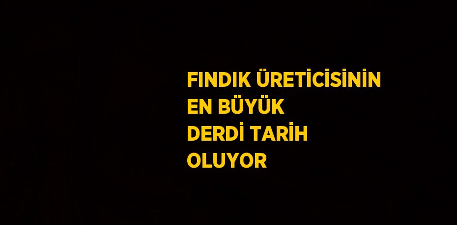 FINDIK ÜRETİCİSİNİN EN BÜYÜK DERDİ TARİH OLUYOR