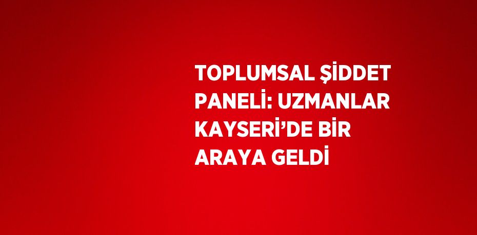 TOPLUMSAL ŞİDDET PANELİ: UZMANLAR KAYSERİ’DE BİR ARAYA GELDİ