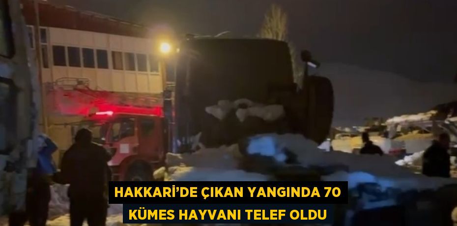 HAKKARİ’DE ÇIKAN YANGINDA 70 KÜMES HAYVANI TELEF OLDU