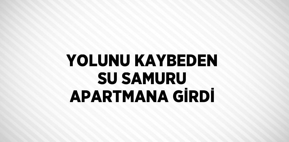 YOLUNU KAYBEDEN SU SAMURU APARTMANA GİRDİ