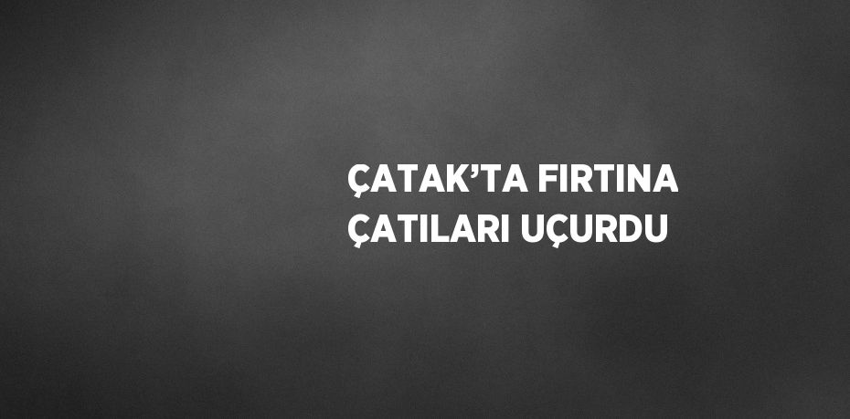 ÇATAK’TA FIRTINA ÇATILARI UÇURDU