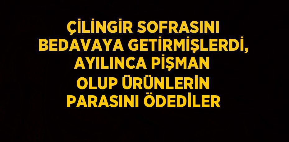 ÇİLİNGİR SOFRASINI BEDAVAYA GETİRMİŞLERDİ, AYILINCA PİŞMAN OLUP ÜRÜNLERİN PARASINI ÖDEDİLER