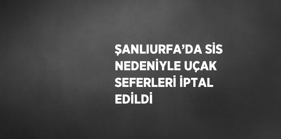 ŞANLIURFA’DA SİS NEDENİYLE UÇAK SEFERLERİ İPTAL EDİLDİ