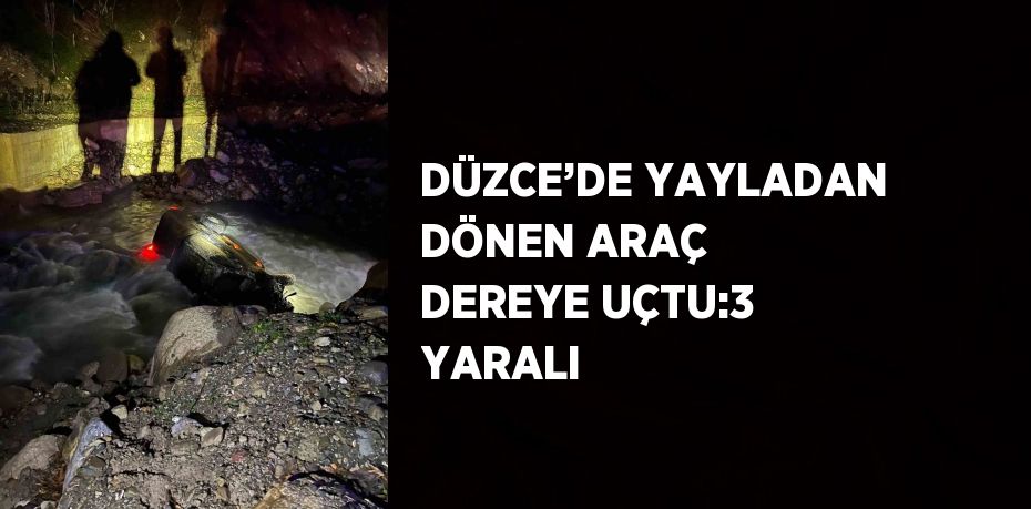 DÜZCE’DE YAYLADAN DÖNEN ARAÇ DEREYE UÇTU:3 YARALI