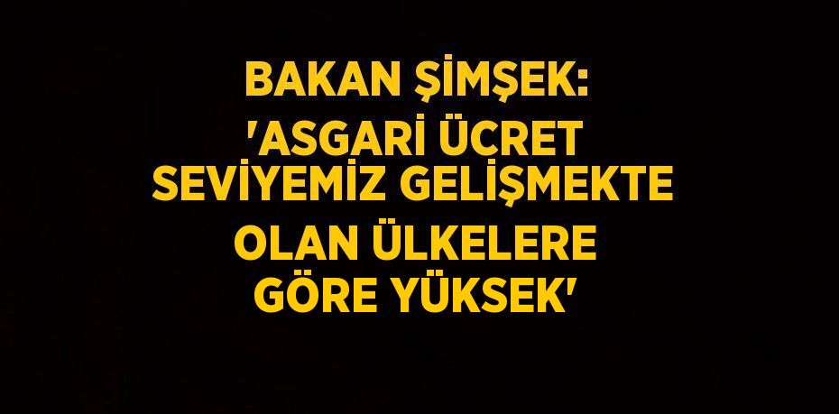 BAKAN ŞİMŞEK: 'ASGARİ ÜCRET SEVİYEMİZ GELİŞMEKTE OLAN ÜLKELERE GÖRE YÜKSEK'