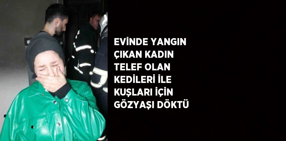 EVİNDE YANGIN ÇIKAN KADIN TELEF OLAN KEDİLERİ İLE KUŞLARI İÇİN GÖZYAŞI DÖKTÜ