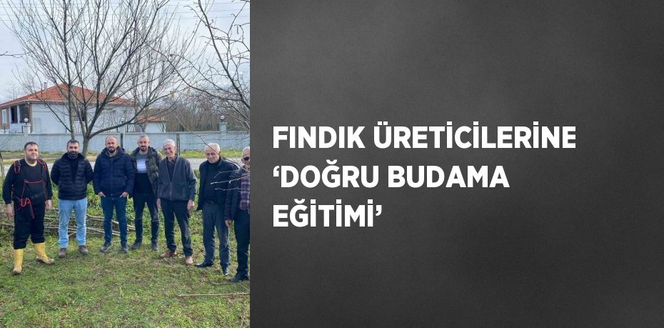 FINDIK ÜRETİCİLERİNE ‘DOĞRU BUDAMA EĞİTİMİ’