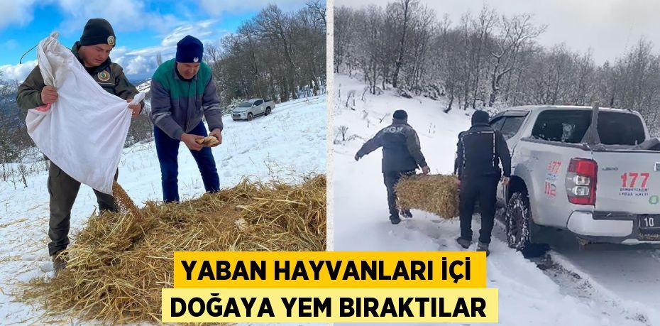 YABAN HAYVANLARI İÇİ DOĞAYA YEM BIRAKTILAR