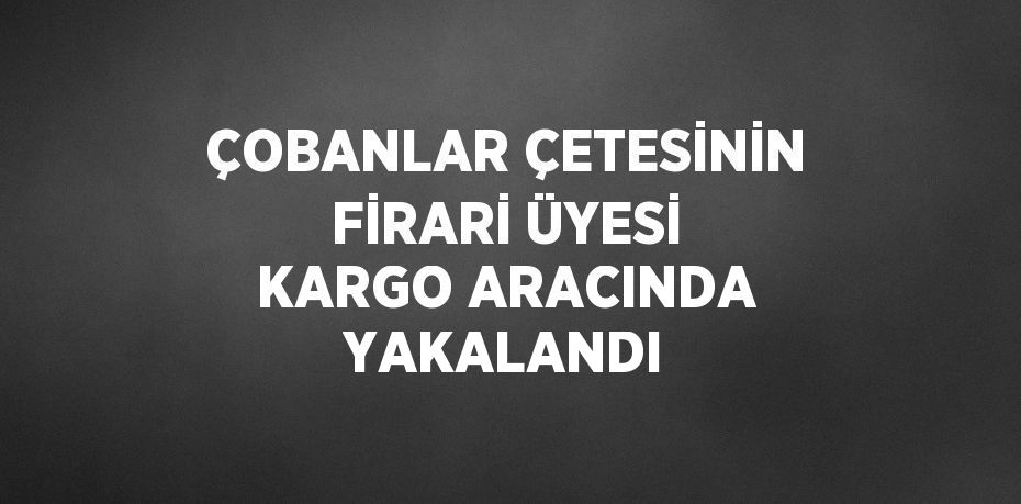 ÇOBANLAR ÇETESİNİN FİRARİ ÜYESİ KARGO ARACINDA YAKALANDI