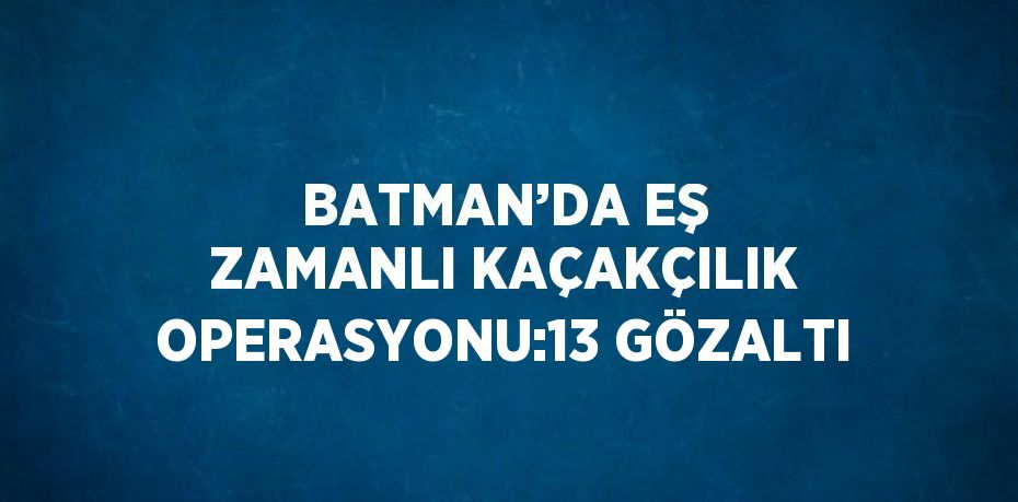 BATMAN’DA EŞ ZAMANLI KAÇAKÇILIK OPERASYONU:13 GÖZALTI