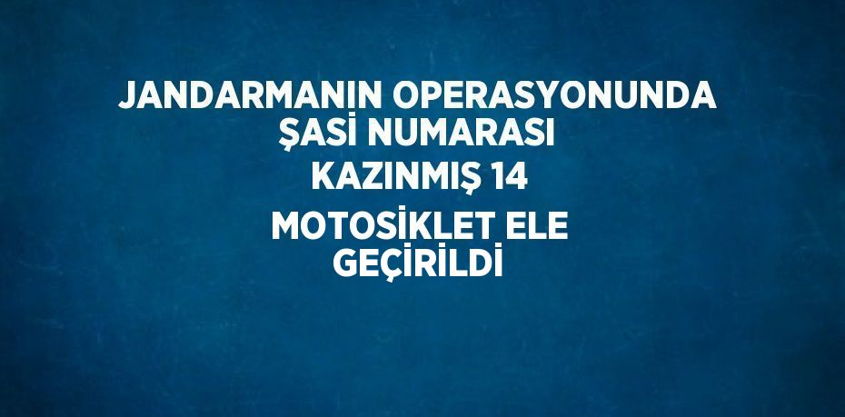 JANDARMANIN OPERASYONUNDA ŞASİ NUMARASI KAZINMIŞ 14 MOTOSİKLET ELE GEÇİRİLDİ